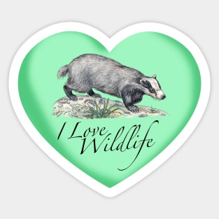 I Love Badgers Sticker